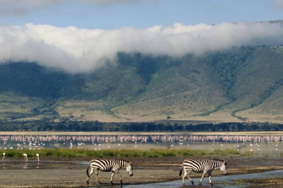 Rhino and zebra grazing on the floor of the Ngorongoro Crater