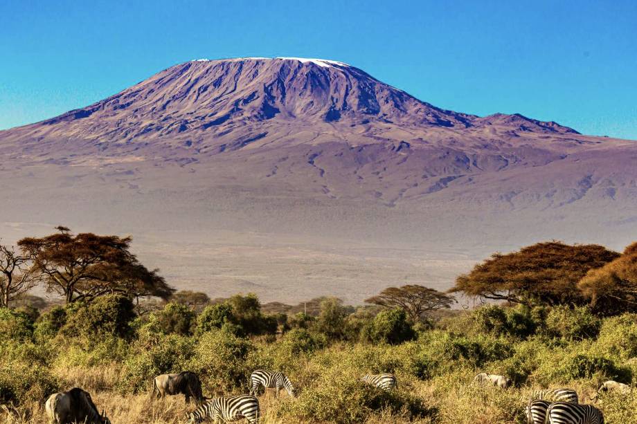 Kilimanjaro rising over the plain